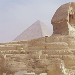 The Sphinx and Chephren pyramid beyond, Giza, UNESCO World Heritage Site