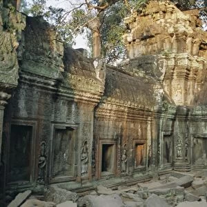 Ta Prohn, Angkor, Siem Reap, Cambodia, Indochina, Asia