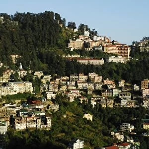 View of Shimla houses, Shimla, Himachal Pradesh, India, Asia