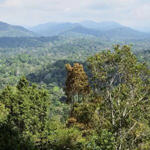 View of Taman Negara National Park from Bukit Teresek, Pahang, Malaysia