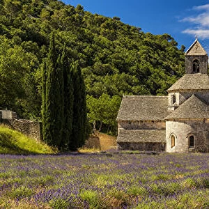 Abbaye de Senanque, near Gordes, Provence, France