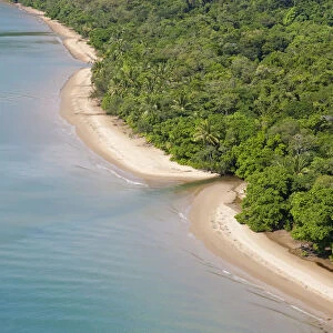 Aerial view of rain forest and beach, Daintree Forest, Daintree National Park, nr Cairns