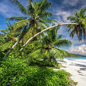 Anse Volbert, Praslin, Seychelles