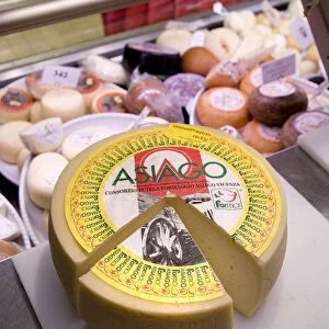 Asiago cheese, Delicatessen, Treviso, Veneto, Italy