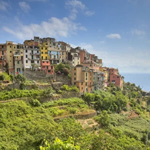 Corniglia, Cinque Terre, Riviera di Levante, Liguria, Italy