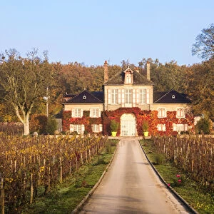 Domaine d Ardhuy winery, Aloxe Corton, Burgundy, France