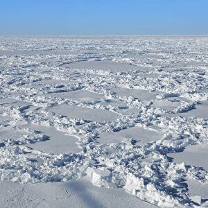 Pack ice - Antarctica, Weddell Sea, Riiser Larsen Ice Shelf