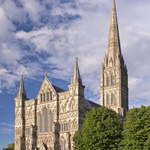 Salisbury Cathedral on a summer evening, Salisbury, Wiltshire, England. Summer (July)