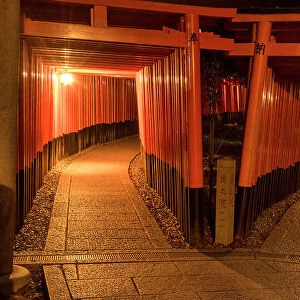 Torii gates at Fushimi Inari shrine, Kyoto, Japan