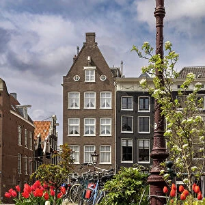 A typical house in Amsterdam with tulips in the foreground, Amsterdam, North Holland, Netherlands