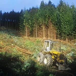 Harvesting timber above Thirlmere in the Lake district, UK