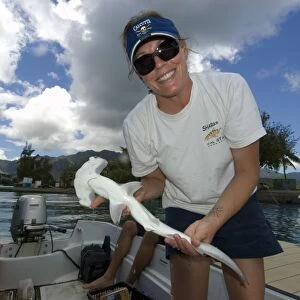 Research scientist Lori Davis holds hammerhead shark pup, Sphyrna lewini, Hawaii Institute of Marine Biology, Kaneohe, Oahu