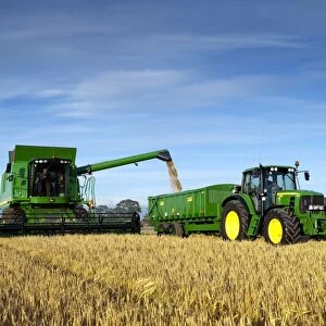 John Deere combine harvester, harvesting Barley (Hordeum vulgare) crop, filling trailer pulled by tractor with grain