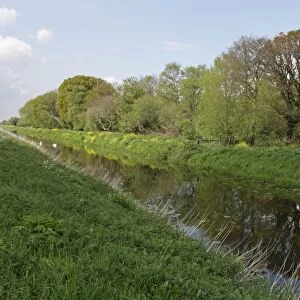 View of canal and woodland in nature reserve, part of Brue Valley Living Landscape landscape scale conservation