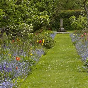 View of garden with apple orchard and planted flower borders beside grass path, Herefordshire, England, May