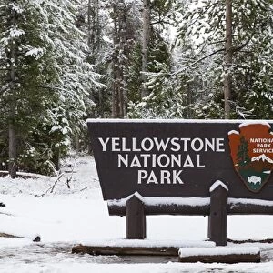 Yellowstone National Park sign in snow, Yellowstone N. P. Wyoming, U. S. A. October