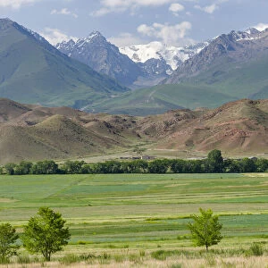 Agriculture near lake Issyk-Kul. Tien Shan mountains or heavenly mountains in Kirghizia