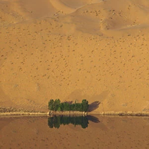 China, Inner Mongolia, Badan Jilin Desert. Dune and trees reflected in lake. Credit as