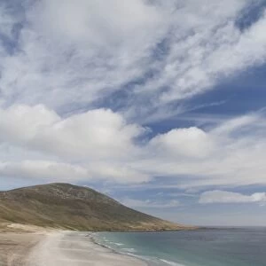 Falkland Islands, West Falkland, Saunders Island. Scenic coastline