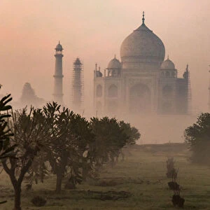 India, Uttar Pradesh. Agra. No Water No Life expedition, view of Taj Mahal from opposite