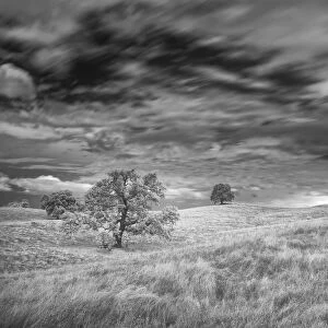 Infrared image of clouds, grasslands and oak trees in Amador County