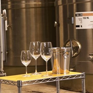 stainless steel tanks. wine tasting glasses ice bucket spitoon Bodega Del Anelo Winery