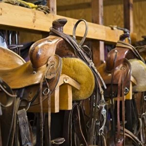The tack room showing saddles and cowboy boots on The Hideout Ranch in Shell Wyoming
