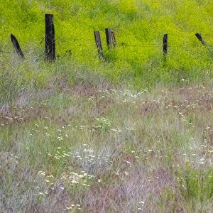 USA, Washington State, Benge. Wooden post fence and grasses on rolling hills