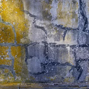 USA, Washington State, Fort Flagler State Park. Abstract pattern panoramic of weathered wall