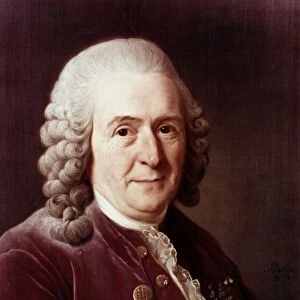 CAROLUS LINNAEUS (1707-1778). Swedish botanist