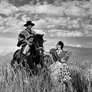 CHILE: GAUCHO, 1940. A woman petting a gauchos horse in a wheat field in Chile