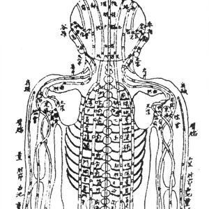 Chinese acupuncture chart showing the kidney meridian