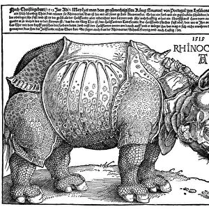 DURER: RHINOCEROS, 1515. Woodcut, 1515, by Albrecht Durer