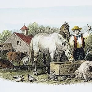 FARMER AT WELL, 1860. A 19th-century American farm scene: steel engraving, 1860