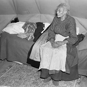 FLOOD REFUGEE, 1937. Ellen McAllister, a ninety-year-old flood refugee at Tent