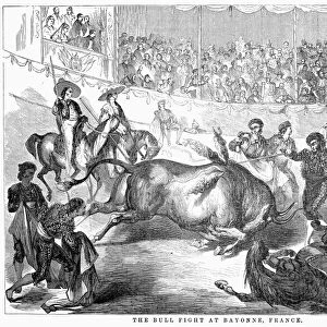 FRANCE: BULLFIGHT, 1856. A bullfight at Bayonne, France, near the Spanish border. Wood engraving, 1856