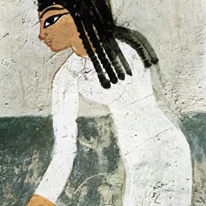 GIRL OF ANCIENT EGYPT A girl picking flax. Detail from a tomb painting, Thebes, c1415 B