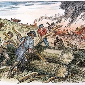 LAND CLEARING, c1830. Settlers clearing the land for farming, c1830. Line drawing by C. W. Jefferys
