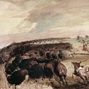 MILLER: BUFFALO HUNT. Native American hunters of the Great Plains driving herds