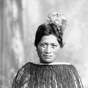 NEW ZEALAND: MAORI NATIVE. A portrait of a Maori in native clothing with feathers as a headdress