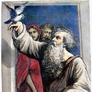 NOAH RECEIVES THE DOVE. Wood engraving, 19th century