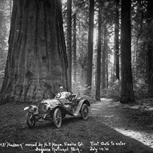 SEQUOIA NATIONAL PARK, 1910. First automobile to enter Sequoia National Park in California
