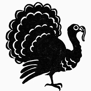 SYMBOL: THANKSGIVING. Turkey, a symbol for Thanksgiving