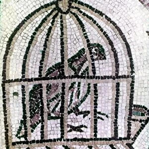 SYNAGOGUE, 6th CENTURY. Bird in cage. Detail from the pavement of the synagogue of Ma on-Nirim