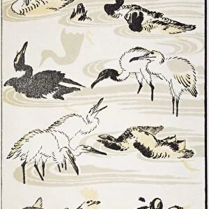 Various birds: woodblock print from the Manga of Katsushika Hokusai, 1817