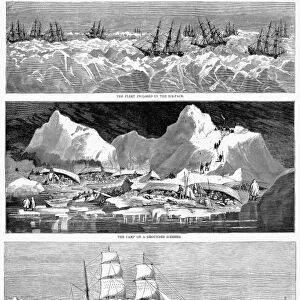 WHALING FLEET IN ICE, 1876. A whaling fleet stuck in Arctic ice. Wood engravings from an American newspaper of 1876