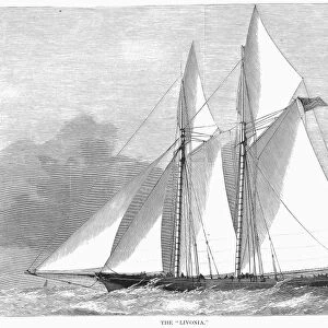 YACHT: LIVONIA, 1871. The English yacht Livonia. Wood engraving from an American newspaper of 1871