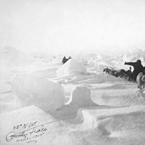 ZIEGLER POLAR EXPEDITION. Dog sled teams of the Ziegler Polar Expedition at the