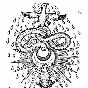 Alchemical symbolism: toad and serpent represent two basic types of element, fixed and earthy