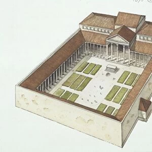 Ancient Rome, Drawing depicting the Forum built on the order of the Roman Emperor Titus Flavius Vespasianus, known as Vespasian (9-79 B. C. )